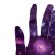irislauxinyu's icon