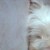 twentyfifth-twelve's icon