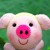 amandaqwe's icon