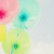SorrowWISH~'s icon