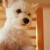 smallyuyu's icon