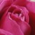 lovemassacre.'s icon