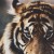 F-lyingheartsx3's icon