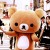 hachortle's icon