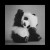 ohfudge!'s icon