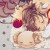 Mixool's icon