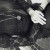 sweettragedies.'s icon