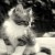Nur Nabila's icon