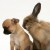 macaroons.'s icon